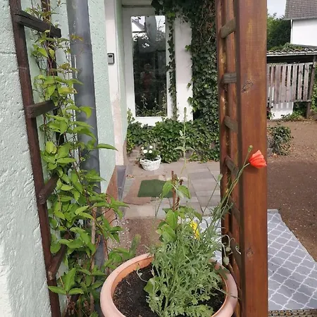 Koblenz Appartement Kelberg